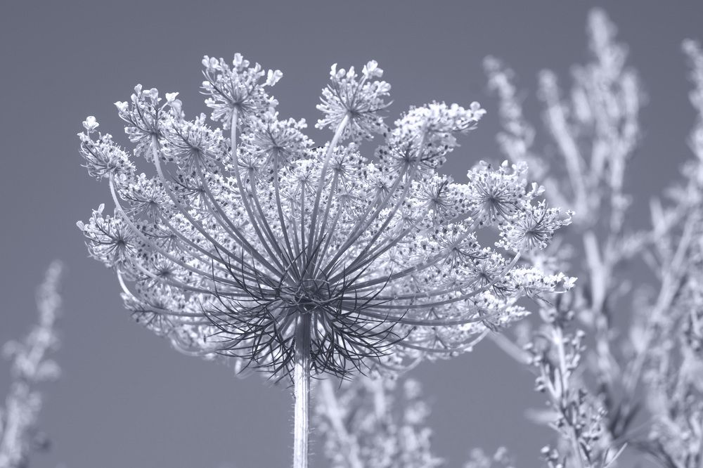 Photograph by Рустам