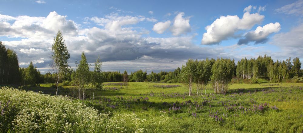 Photograph by Александр Свистков