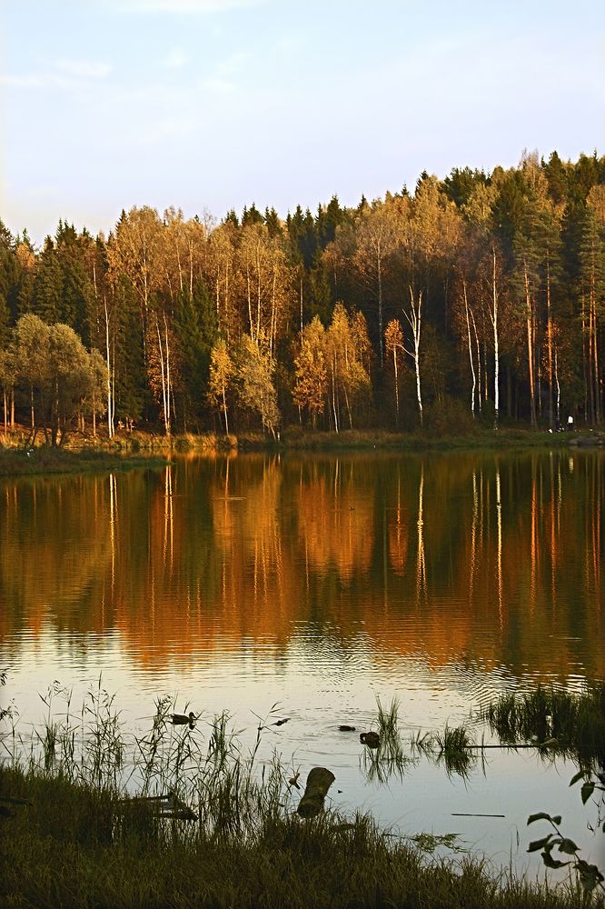 Фотография автора Владимир Борисов