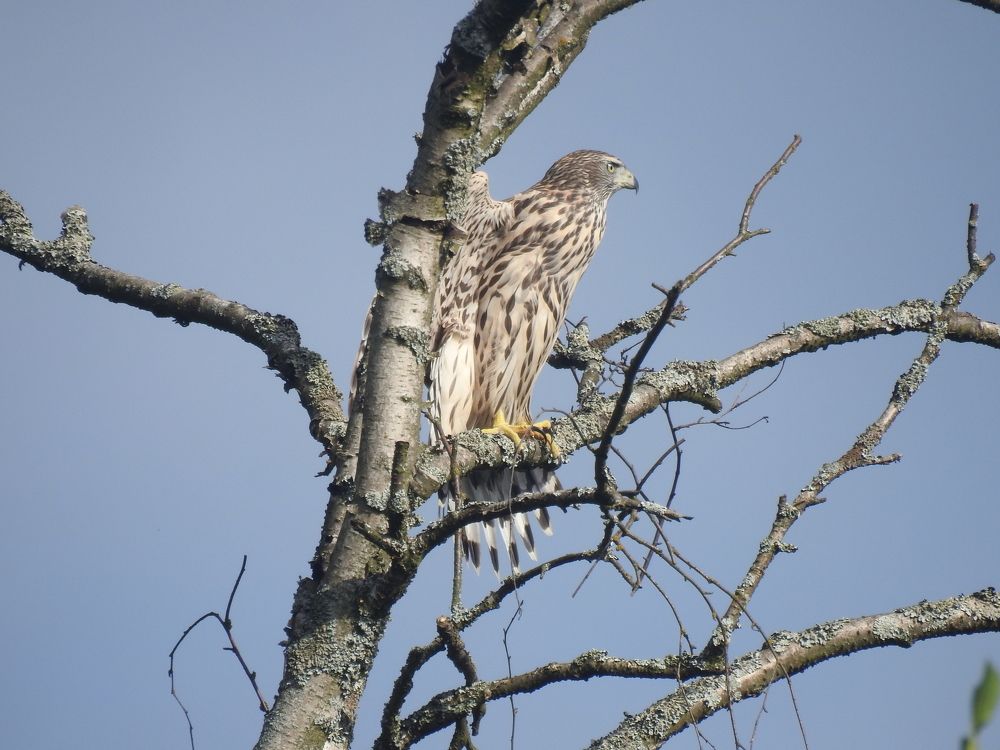 Photograph by Георгий Салюков