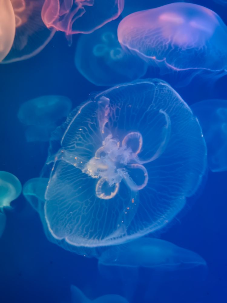 Photograph by Виктория Федосеенко