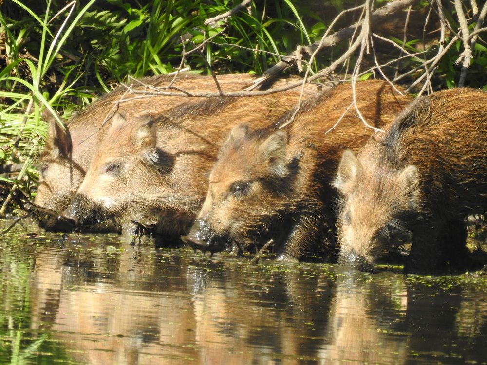 Photograph by Георгий Салюков