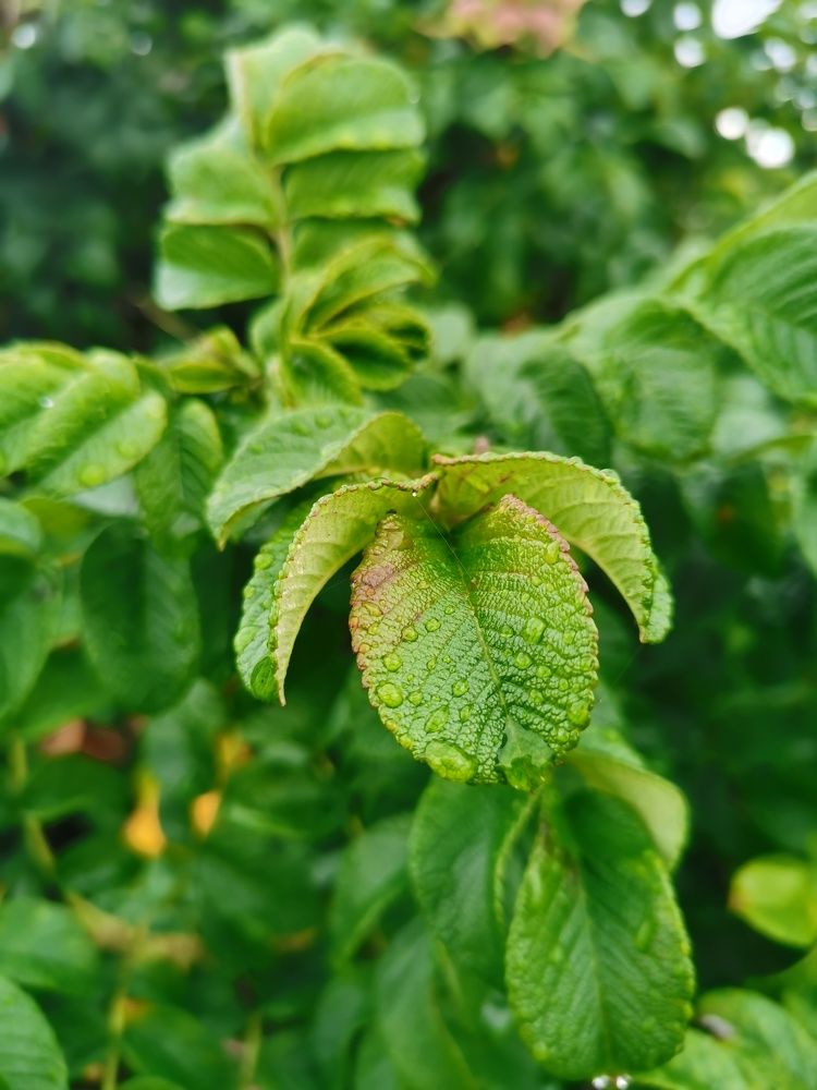 Photograph by Виктория Федосеенко