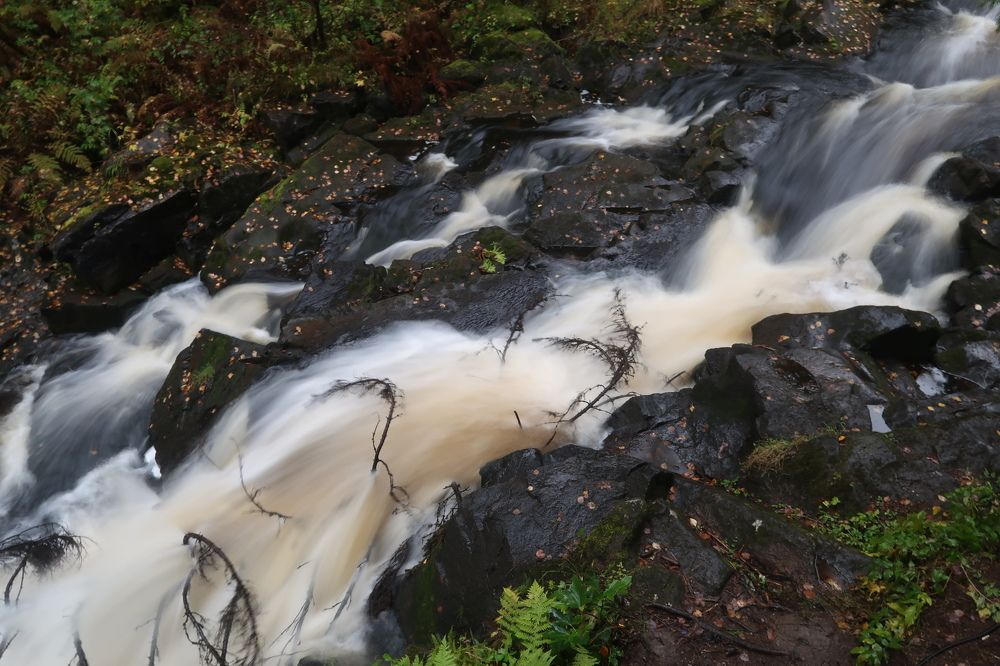 Photograph by Александр