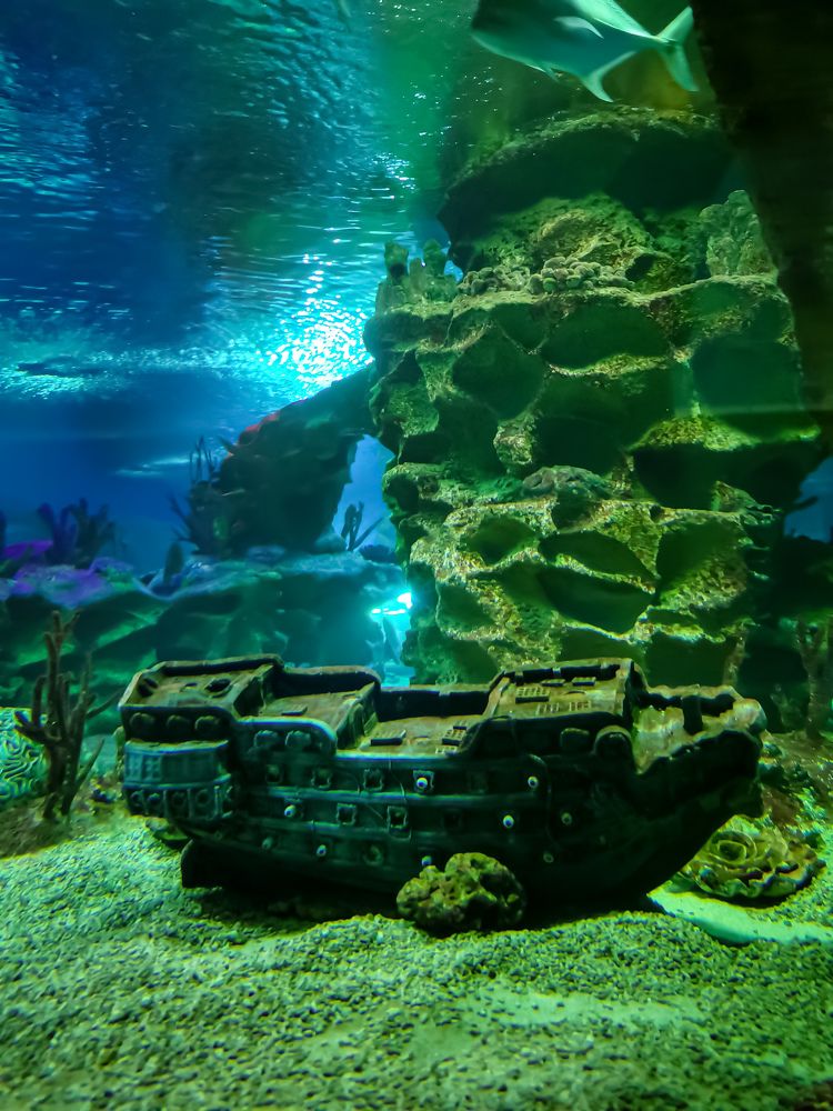 Photograph by Виктория Федосеенко