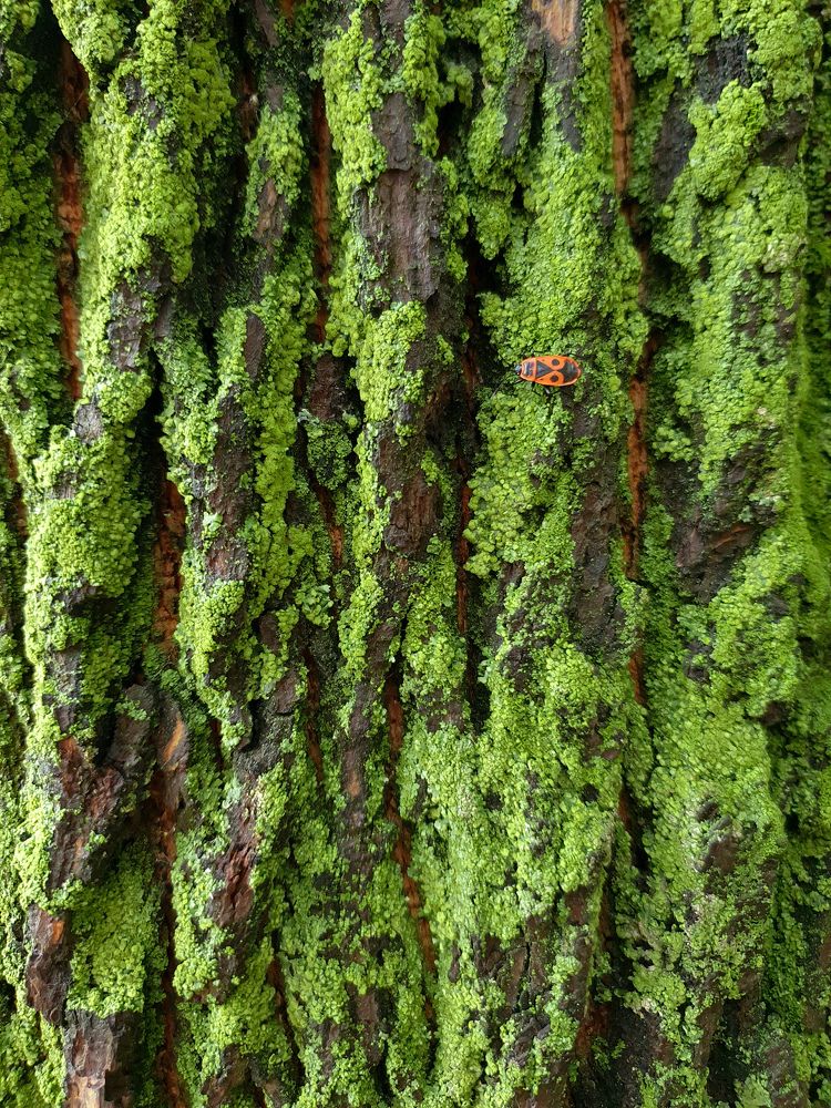 Photograph by Айгуль Кубиева