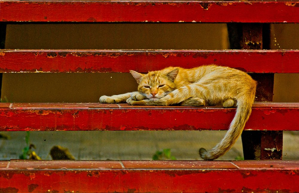 Photograph by Виктория Уварова