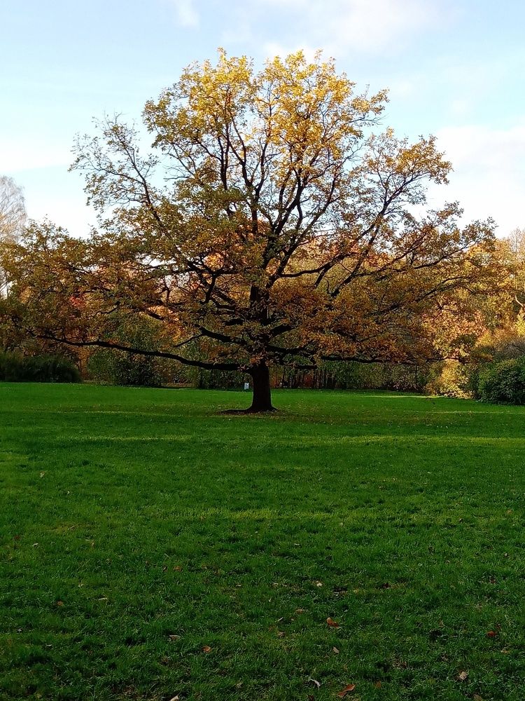 Фотография автора Natalia Khodina