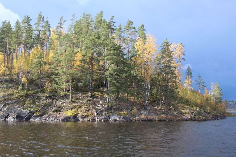 Фотография автора Natalia Khodina