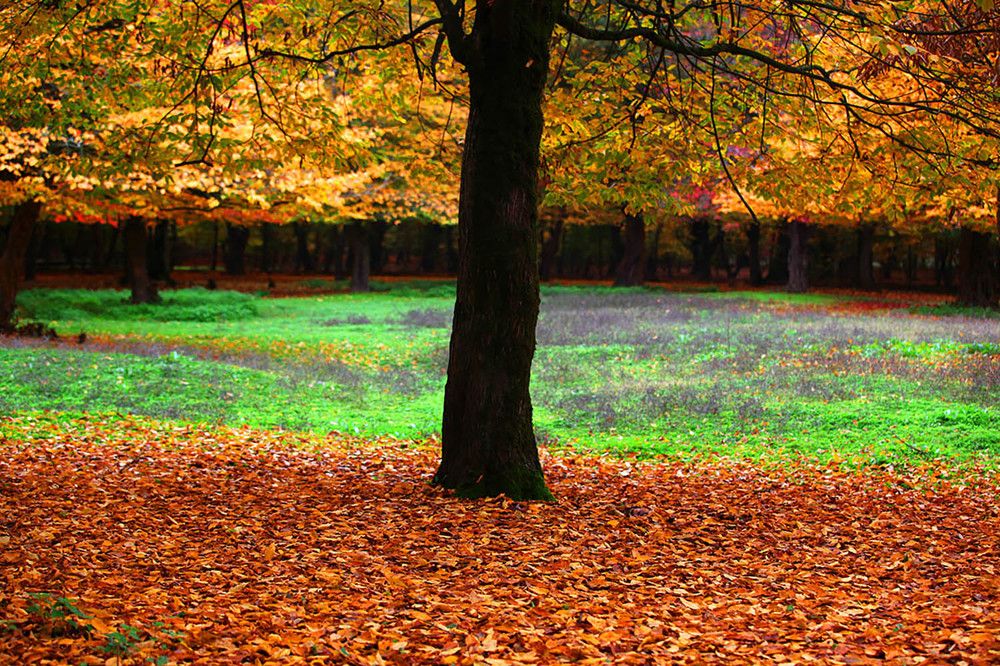 Photograph by mehdi karimi souderjani