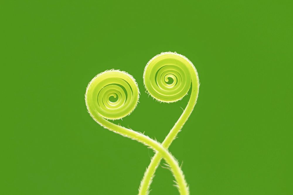 Photograph by Shahariar Alam