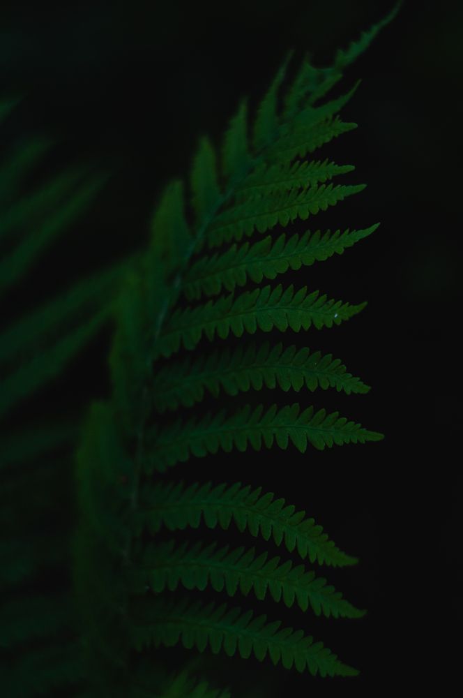 Фотография автора Мила Раткина