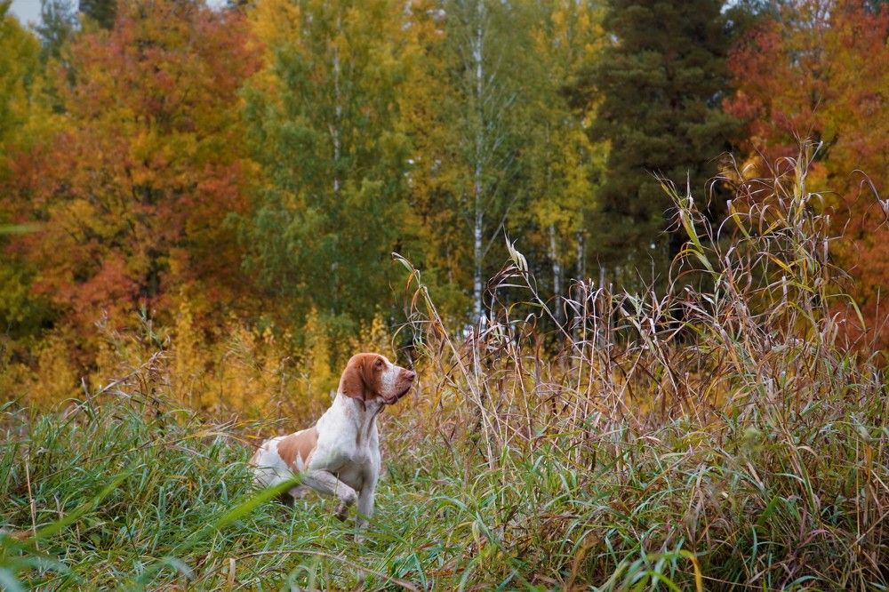 Photograph by Марина Безенкина