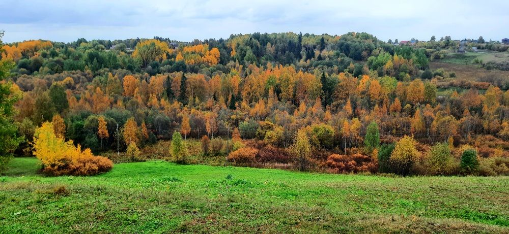 Photograph by Парфенова Александра