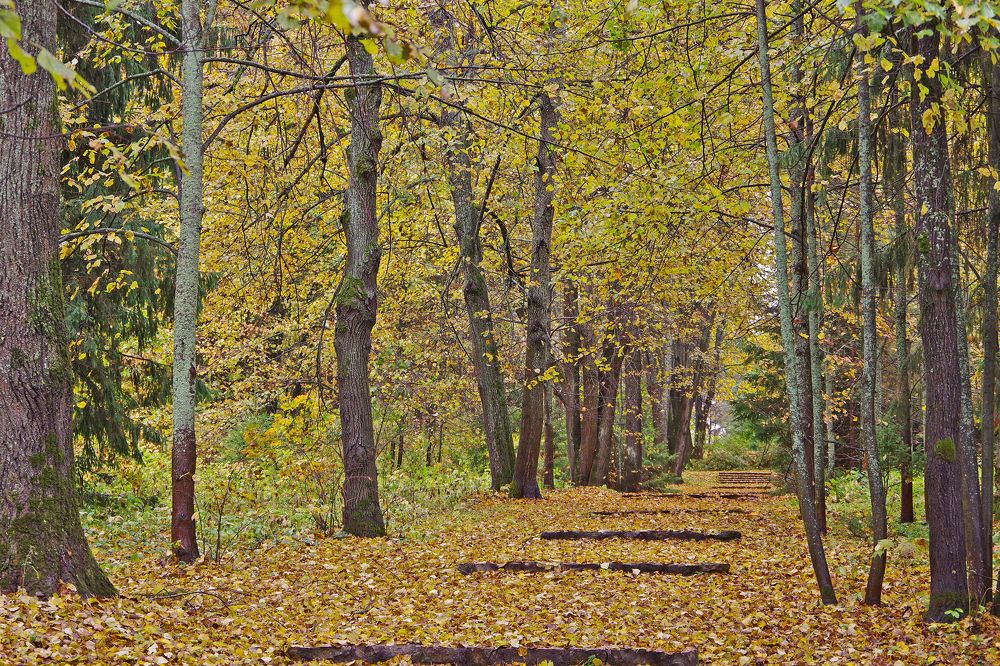 Photograph by Елена Щитова