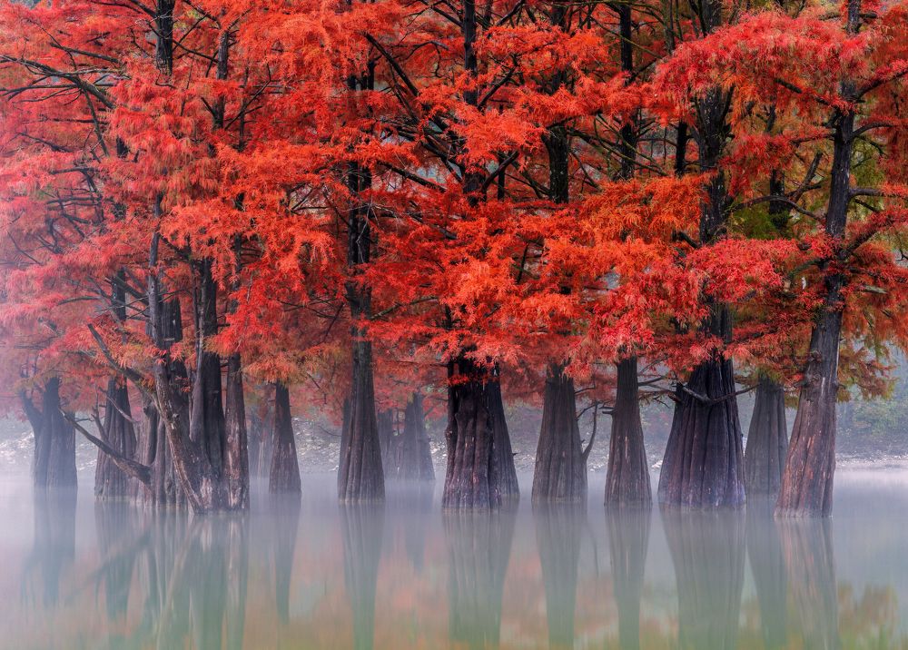 Photograph by Валерий Одинцов