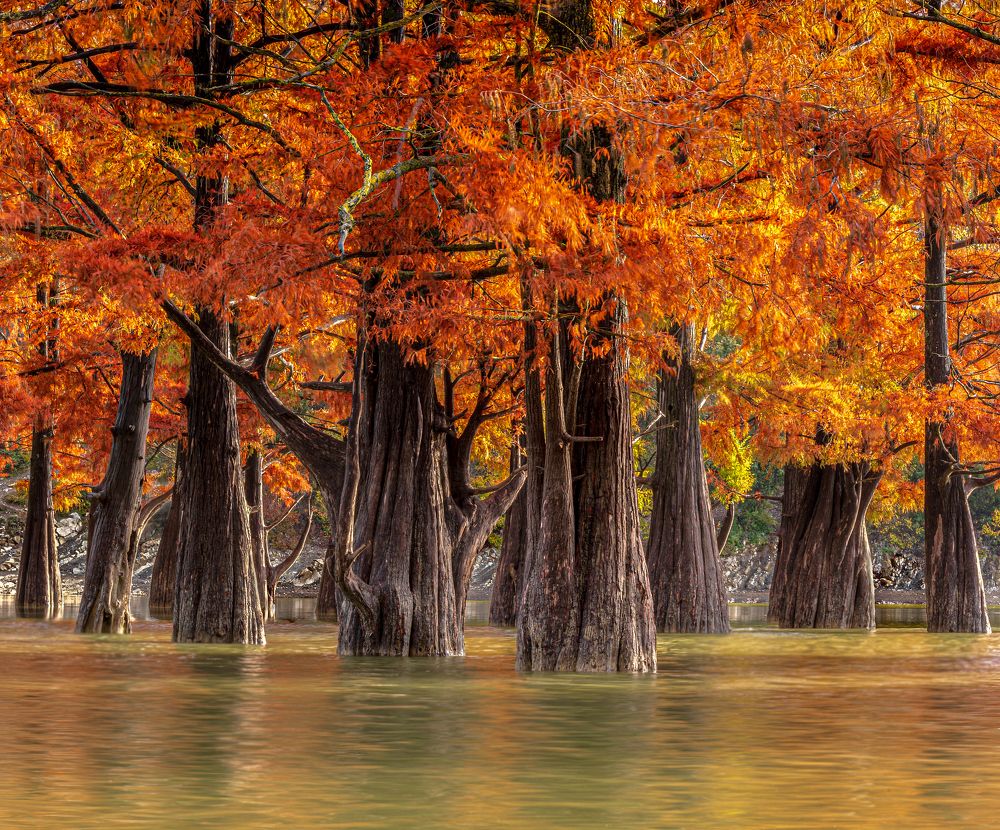 Photograph by Валерий Одинцов