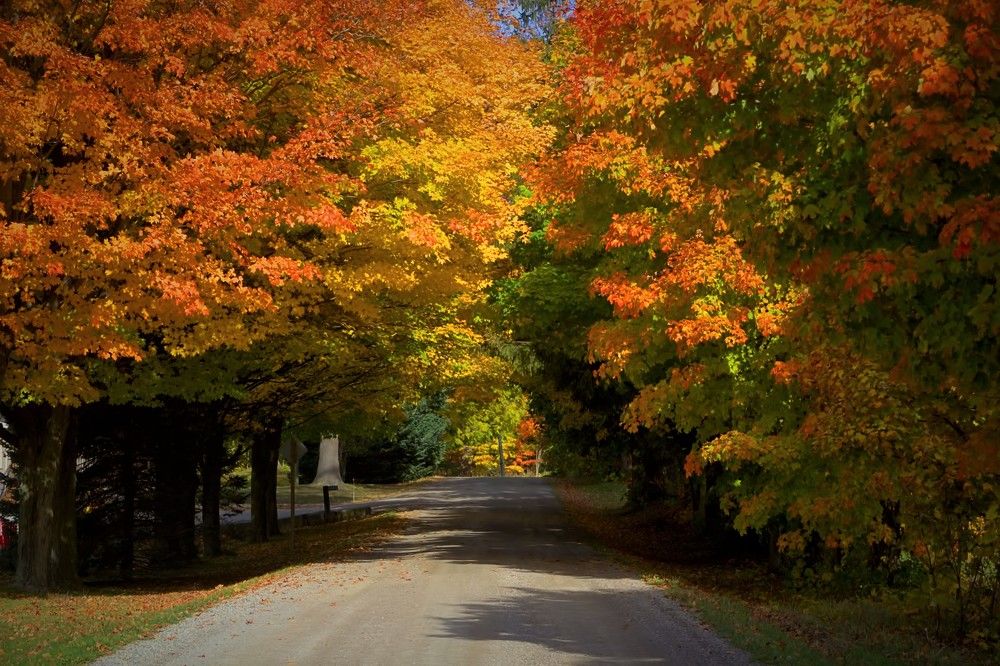 Photograph by Art Bisschop