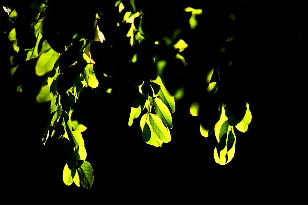 Photograph by mehdi karimi souderjani