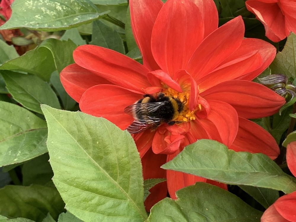 Photograph by Николай Тышкунов