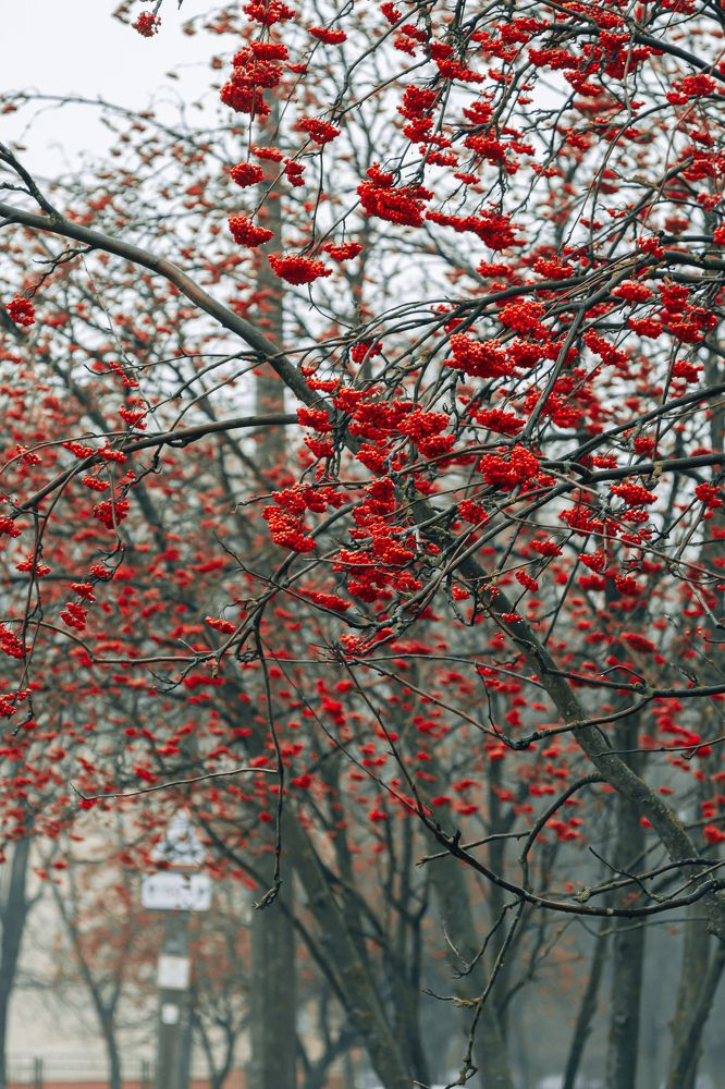 Photograph by Андрей