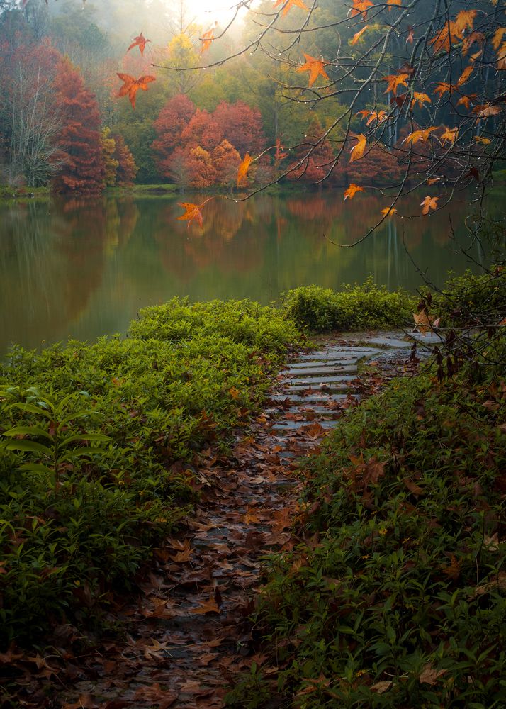 Photograph by Valdir Hobus