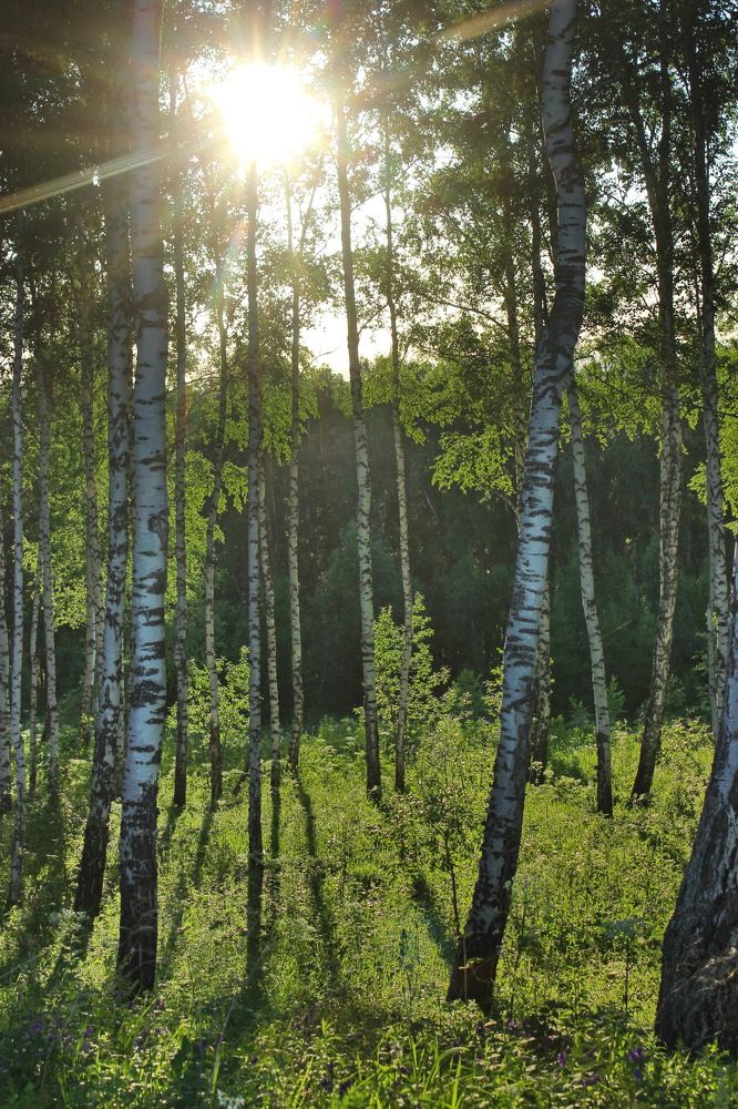 Photograph by Наталья Юрова