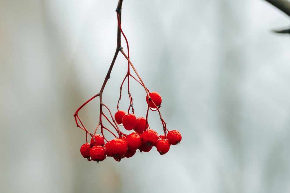 Photograph by Андрей