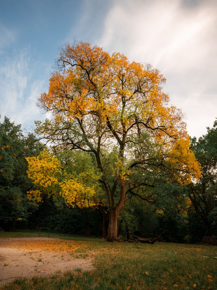 Photograph by Александр Битюков