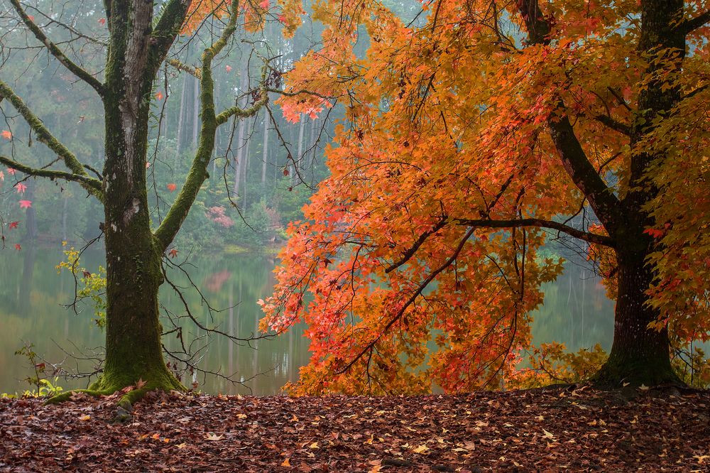 Photograph by Valdir Hobus