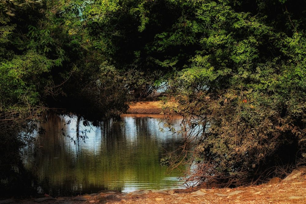 Photograph by Pietro Granieri