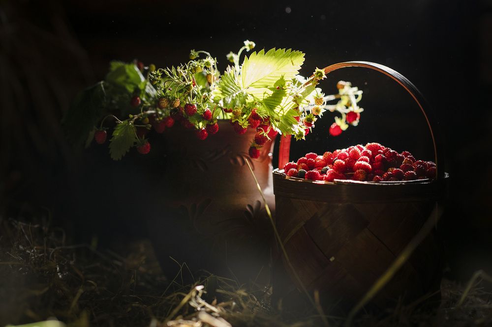 Photograph by Ирина Ефимова