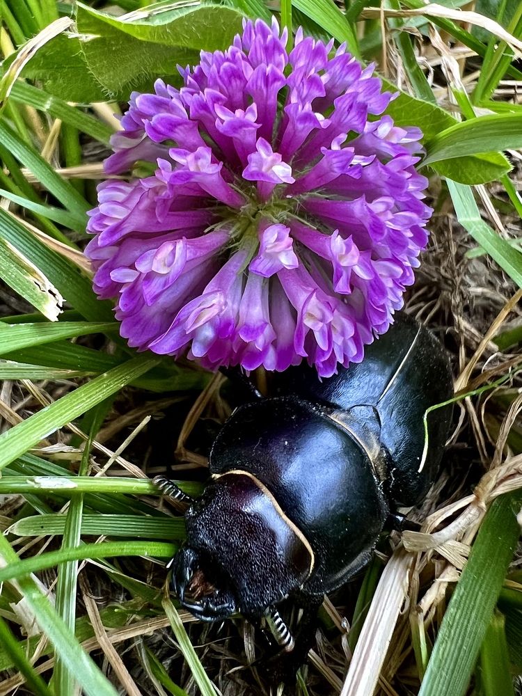 Photograph by Шестакова Наталья
