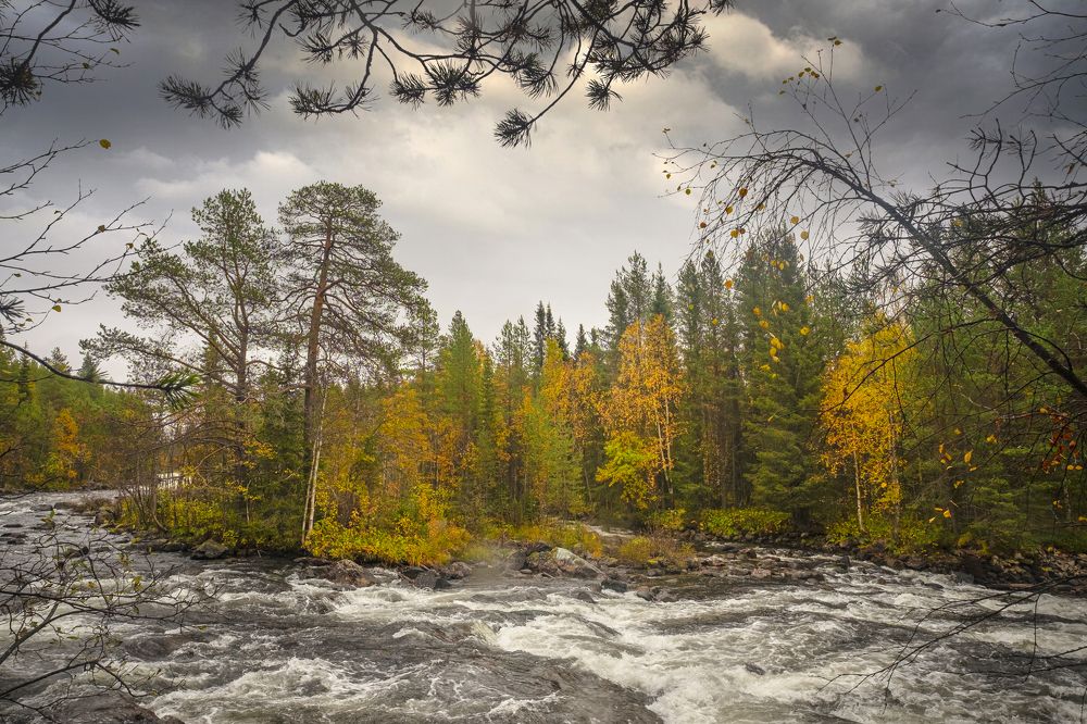 Photograph by ARTEM KORZHUKOV