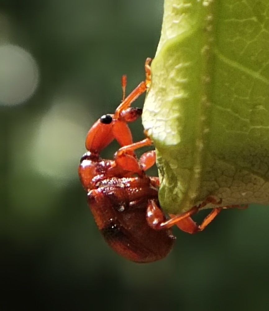 Photograph by B.Dhana sekaran