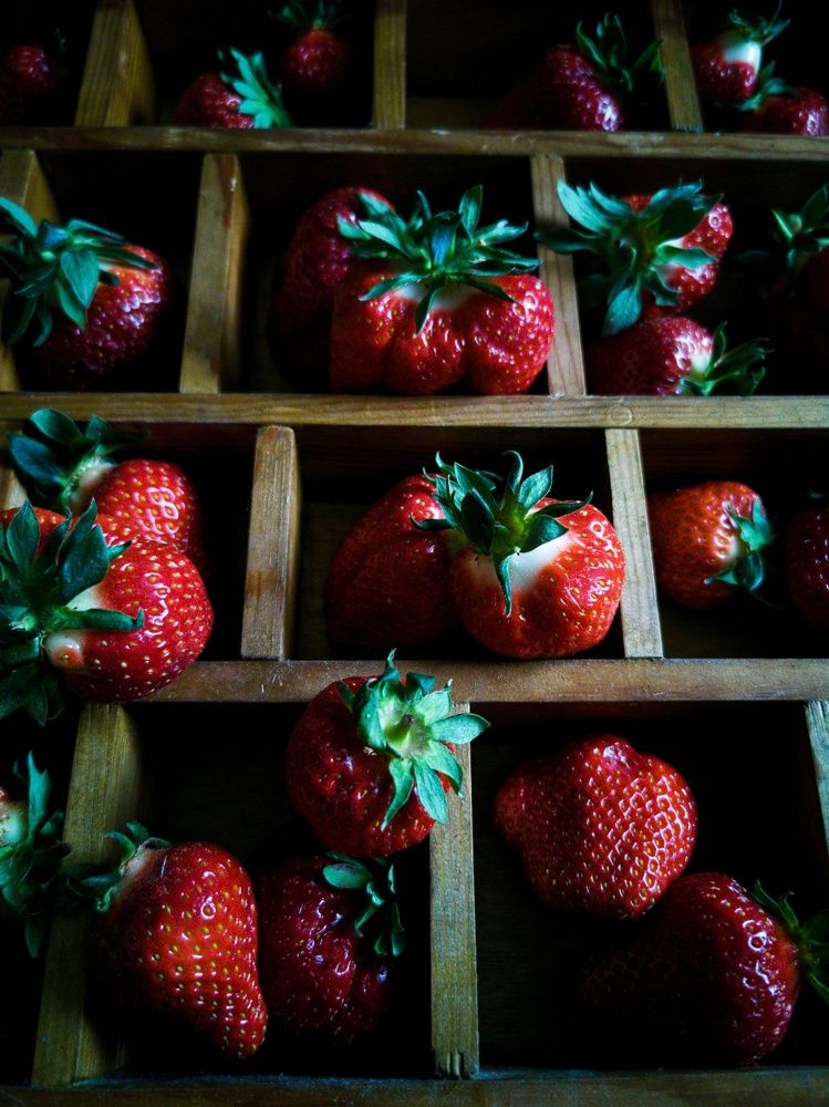 Photograph by Irina Tischer