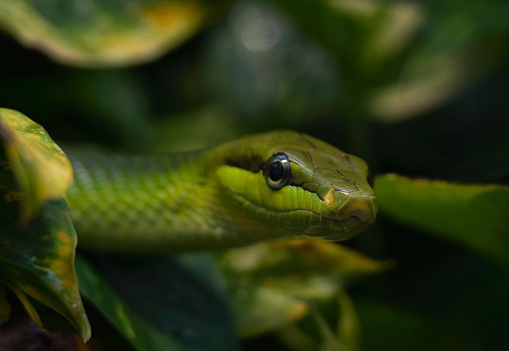 Photograph by Юлия Борт