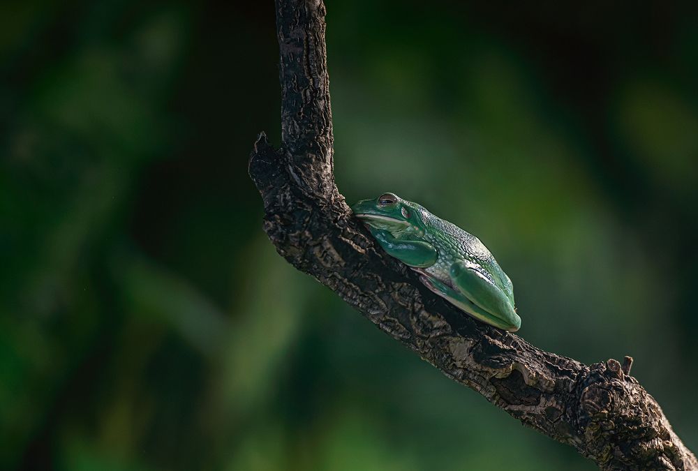 Photograph by Юлия Борт