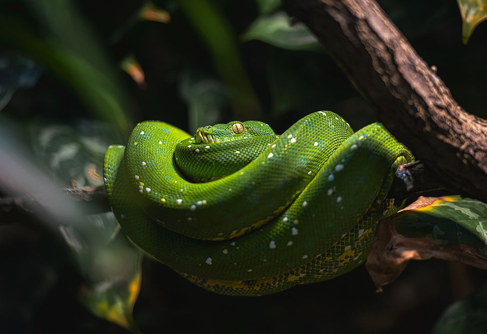 Photograph by Юлия Борт