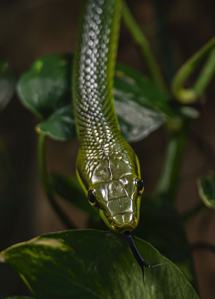 Photograph by Юлия Борт