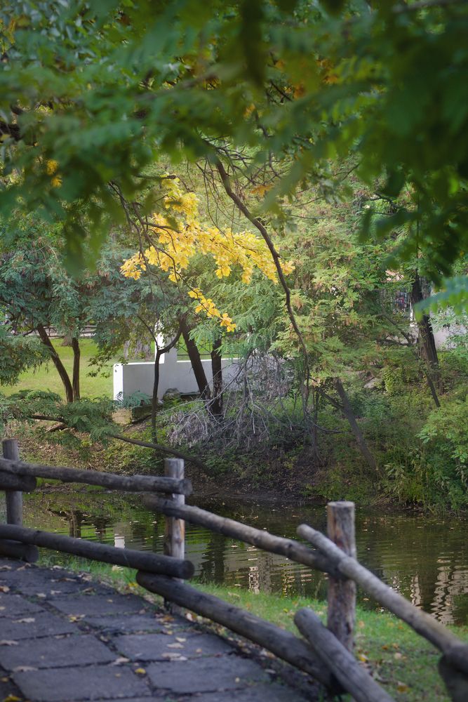 Photograph by Константин Гудков