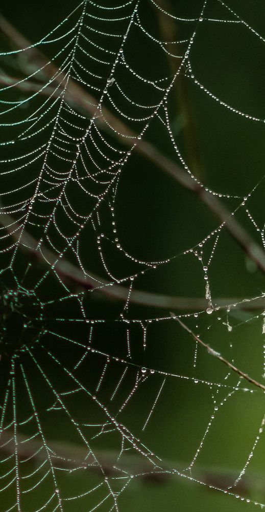 Photograph by Часова Екатерина