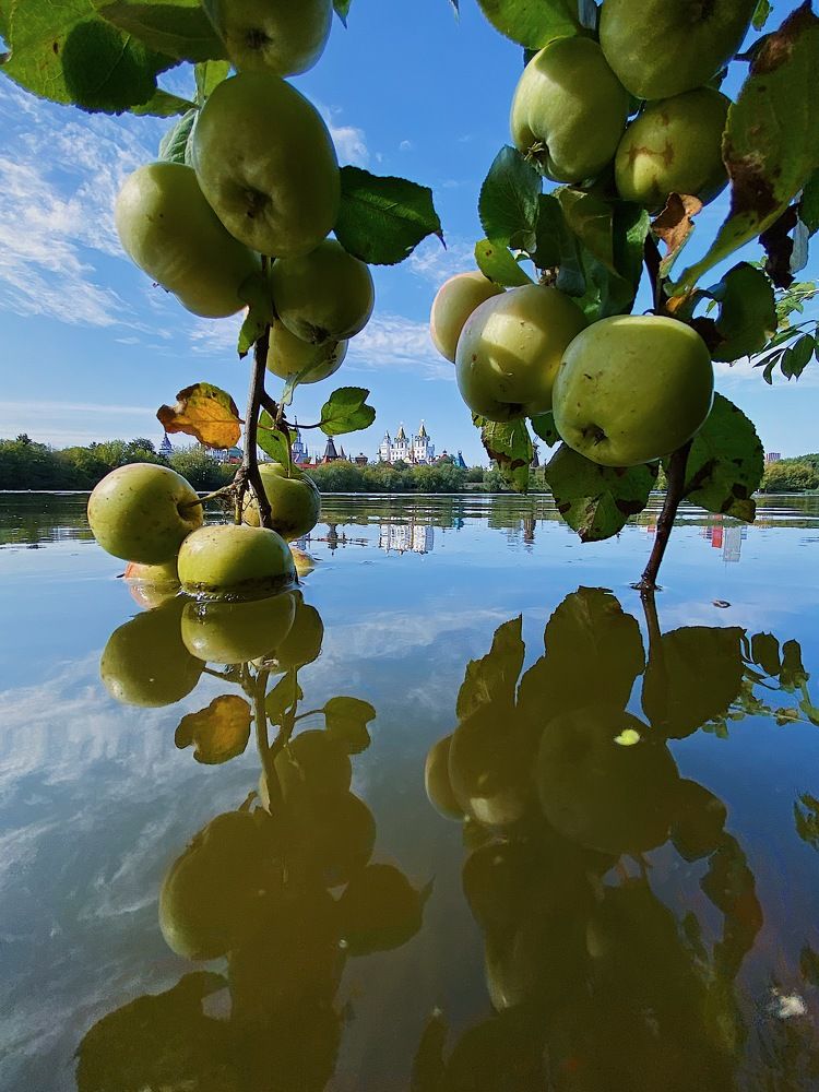 Photograph by Чепрасова Мария
