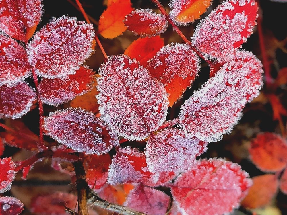 Photograph by Дарья