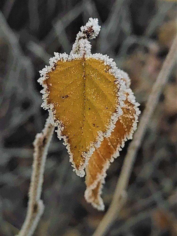 Photograph by Дарья