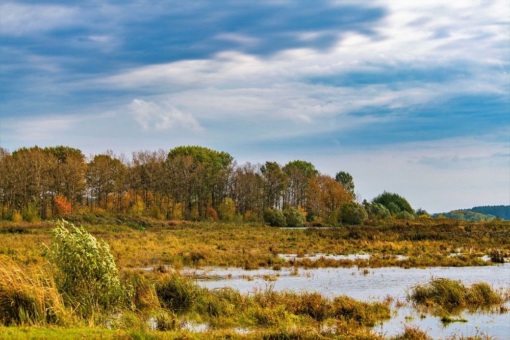 Photograph by Алексей Сиваков