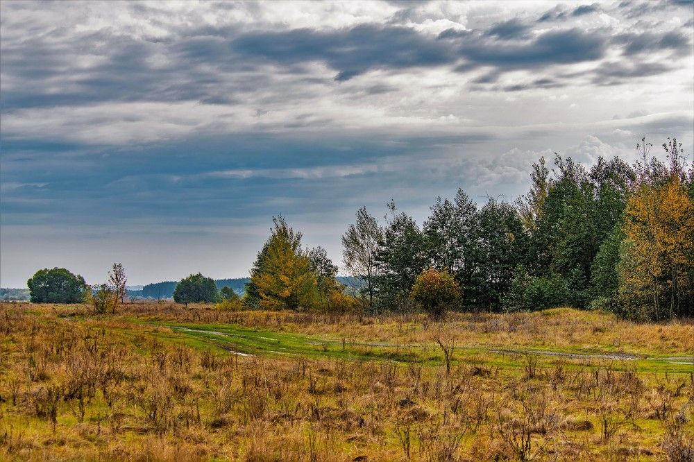 Photograph by Алексей Сиваков