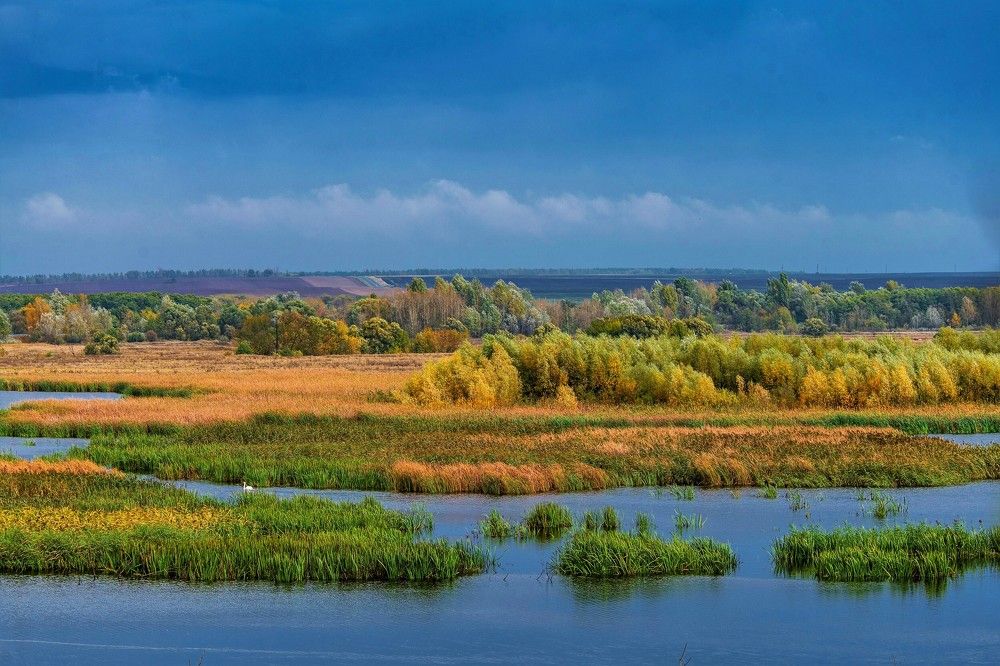 Photograph by Алексей Сиваков