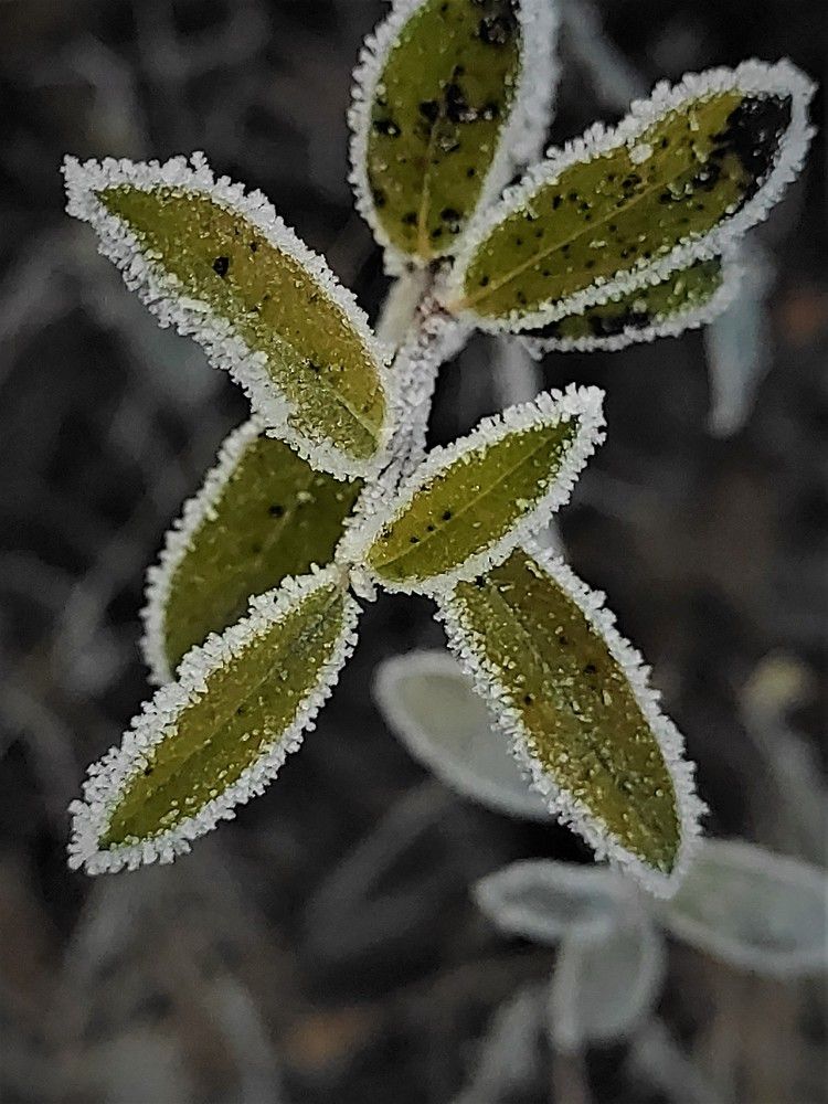 Photograph by Дарья