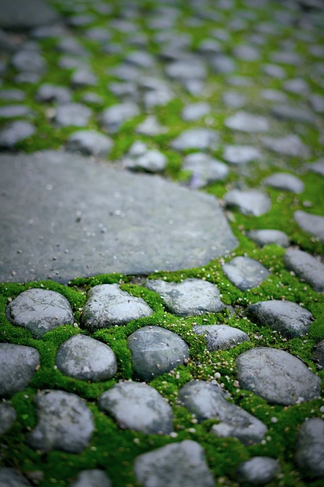 Фотография автора Татьяна Тур